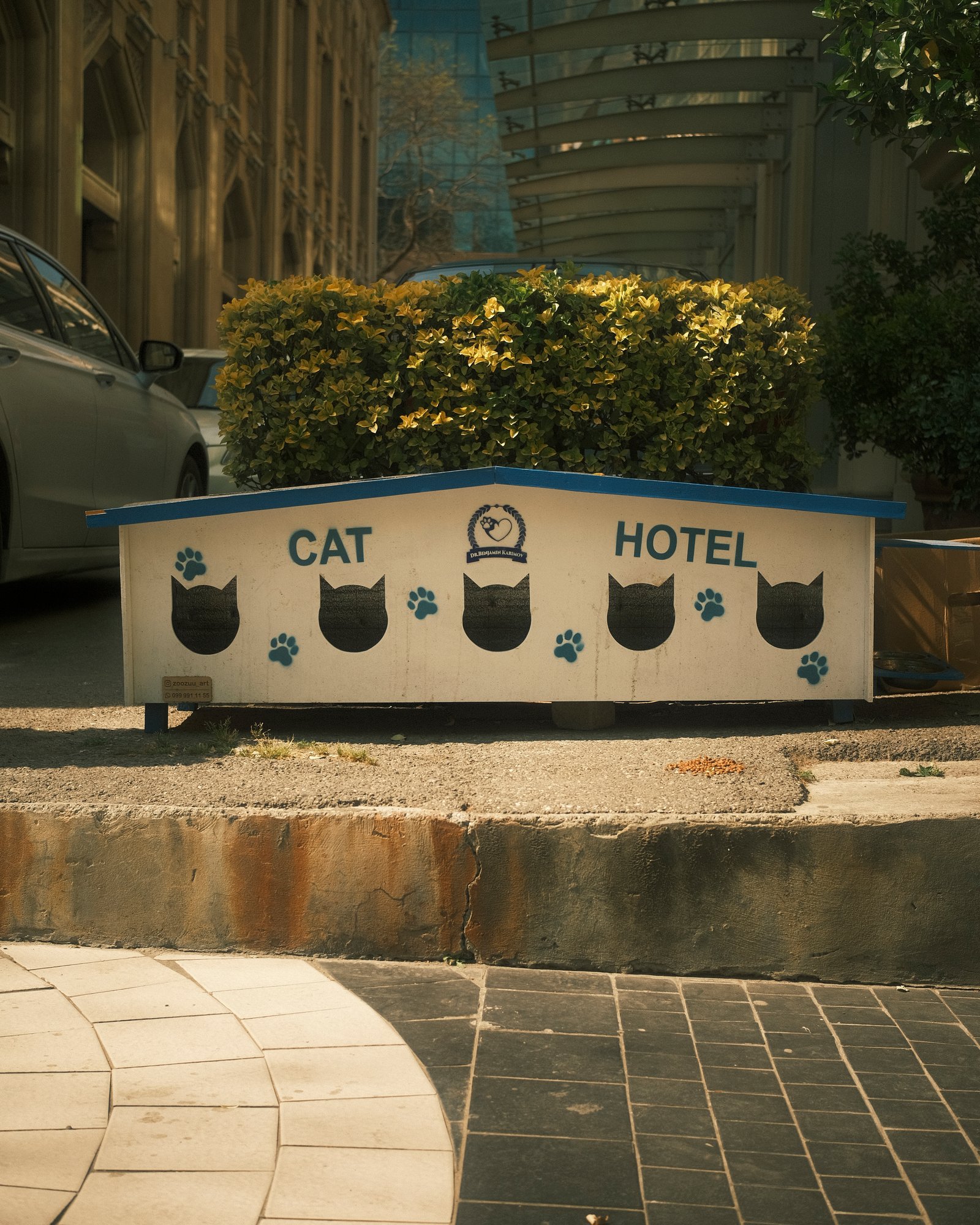 Street Cats — FUJI4889.jpg